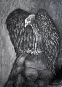 "Skrzydła I" - rysusek, 70x100 cm - ołówek